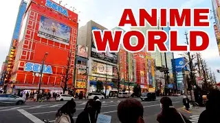ANIME HUB OF JAPAN