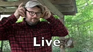 Bushradical Live Stream #1.....the future of this channel