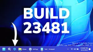 New Windows 11 Build 23481 – Never Combine Taskbar Icons, New Windows Copilot, and Fixes (Dev)