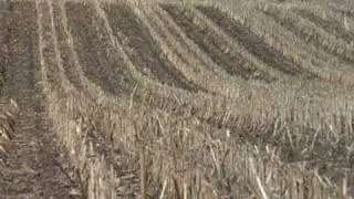 Ag PhD Show 