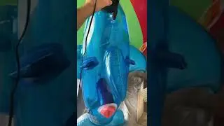 Inflatable pleasure tube strategically placed hole SPH demo