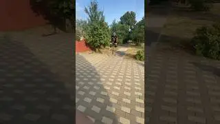 По Лайтам 