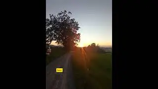 08.08.24г🌹Паук и Ёлки!!!😊