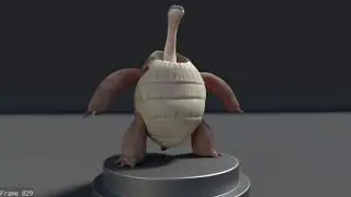 Turtle presentation finale