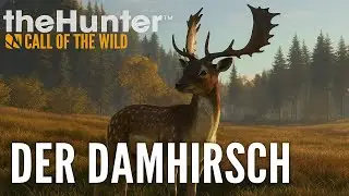 🎯 The Hunter: Call of the Wild – Mein erster Damhirsch 🦌