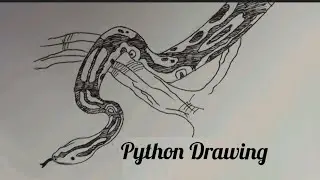 how to draw python/python drawing/draw python/drawing of python/python/drawing python/python draw