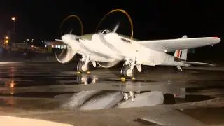 Mosquito at Hamilton Hights 1