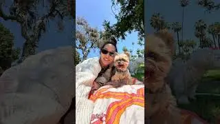 My souldog 🐥💖 i love you little duck! #duckytheyorkie #yorkies #yorkshireterrier #yorkie