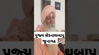 વિવાદ વકર્યો સાળંગપુર હનુમાજી  પર શેરનાથ બાપુ નો જવાબ