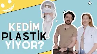 KEDİM PLASTİK YİYOR