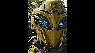 Bumblebee Edit