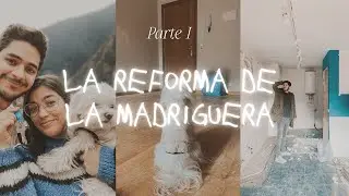 ¡EL PROCESO DE LA MADRIGUERA! / Consejos para una reforma 💥