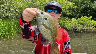 Lake Day Vlog!