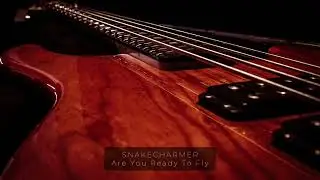 SNAKECHARMER - 'Are you Ready To Fly' | Second Skin (2017) | ASM Rock Tunes