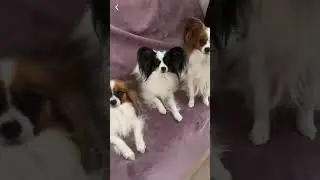 Девочки-доченьки Любочки♥️