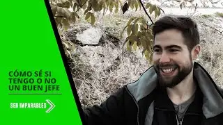 ¿Es un BUEN JEFE? - APRENDE a Poner LÍMITES a tus jefes