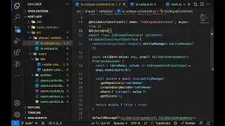 Nestjs IsUnique custom validation (with database query) for email, username, etc