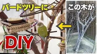 Newly remodeled play area for small birds | DIY of the year