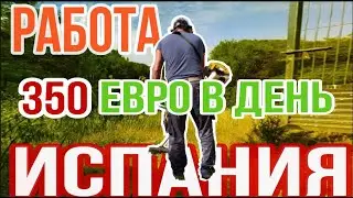 350 евро в день, работа в Испании 2021 году