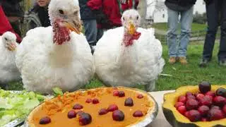 Thanksgiving Story 8