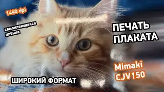 Печать плаката в Центре широкоформатной печати | Типография Процвет