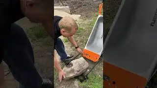 Многофункциональная тачка Worx в действии 😮😮😮