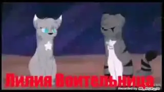 Искра : это я лучше всех( заказ с канала Тигристая кошка воительница)