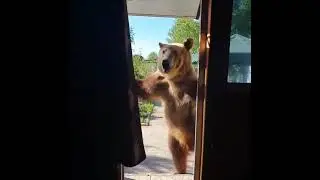 А Маша выйдет