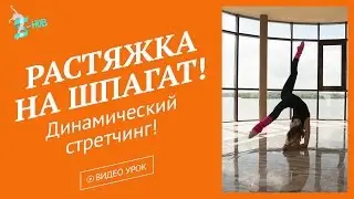 Эффективная растяжка на шпагат! Динамический стретчинг! S-HUB с Лизой Андреевой