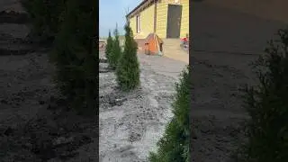 Наводим красоту на участке😁