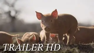 WILDES LAND - DIE RÜCKKEHR DER NATUR - Trailer OmU English | Englisch