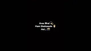 Are Bhai Hum Sehzade hai 💫🫅🏻 #shorts #trending #viral #photography #explore