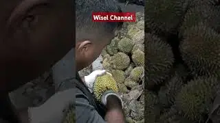 DIBUKA MANTAP ⁉️ DURIAN KAMPUNG 🤤#shortvideo