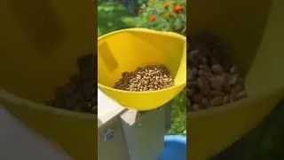 Мельница на каменных жерновах