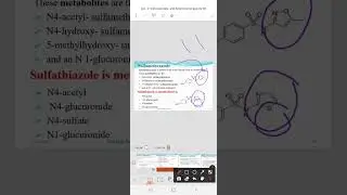 Sulfamethoxazole structure and metabolism: derivatives of sulfonamides