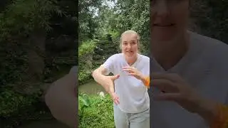 Чистка  