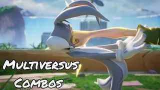 When You Can't Pick A Main... - MultiVersus Combo Compilation