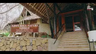 Lion Hill Safari Lodge 360 View | Tsavo Voi | Travel Kenya | Magical Kenya