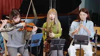 【ゼルダの伝説】ティアーズ オブ ザ キングダムをプロが初見で弾いてみた The Legend of Zelda Tears of the Kingdom【オーケストラ】