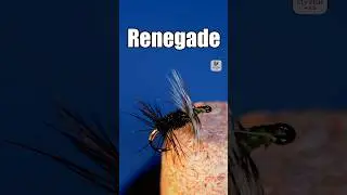 Renegade | Fly Tying Tutorial