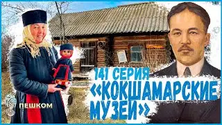 141 серия 