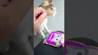 Bukan nak makan tapi nak kena belai 🙂