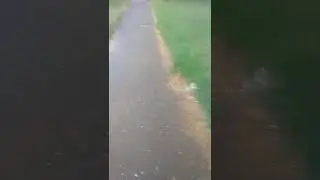 пешеходные дорожки по улице Каменского в Бобруйске центр города.