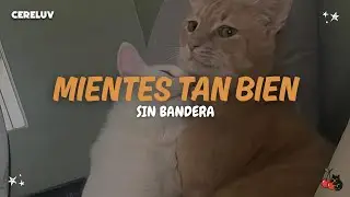 Sin Bandera - Mientes Tan Bien (Letra)