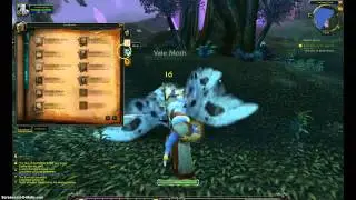 gameplay of wow