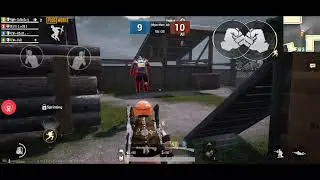 fist fight trm