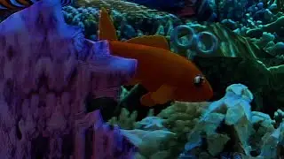 Low poly Ocean Animation test | 2025