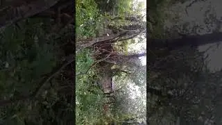 Ледное Харьков