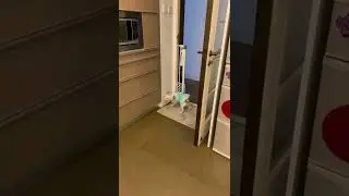 Funniest ! Luna: Kung Fu Mistress 🐶🥋🐶🥋