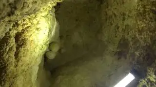 [Day 1] GLOW WORM CAVES!!!